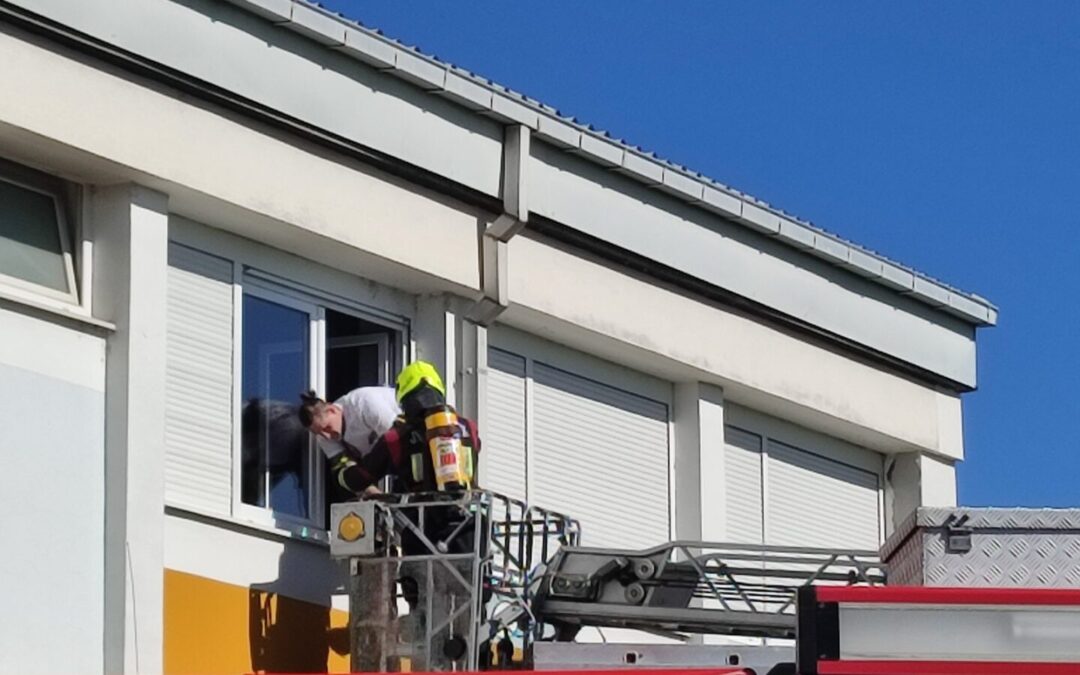 Vatrogasna vježba JVP Sisak i DVD Odra Sisačka