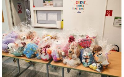 UČENICI PODRUČNE ŠKOLE ŽABNO, ZAJEDNO SA SVOJIM UČITELJICAMA, ORGANIZIRALI AKCIJU PRIKUPLJANJA PLIŠANIH IGRAČAKA ZA DJECU NA ODJELU PEDIJATRIJE U SISKU